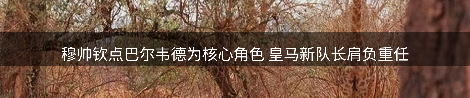 新闻动态